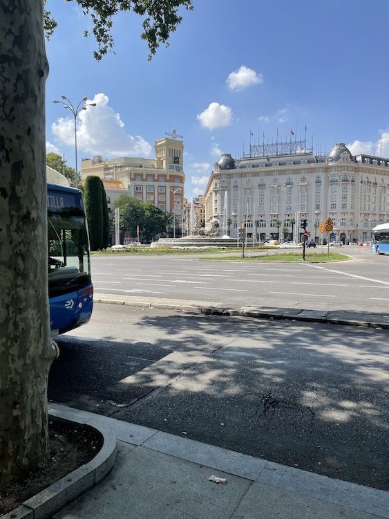foto para acuarela